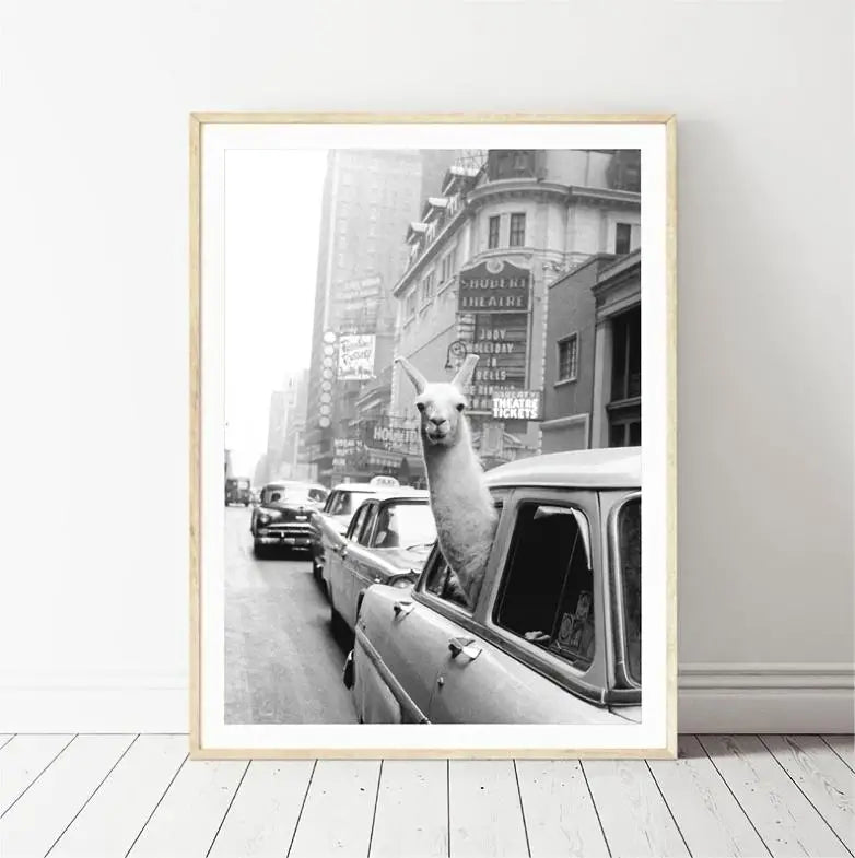 Funny Canvas Painting of Alpaca in NYC Taxi (1pc)