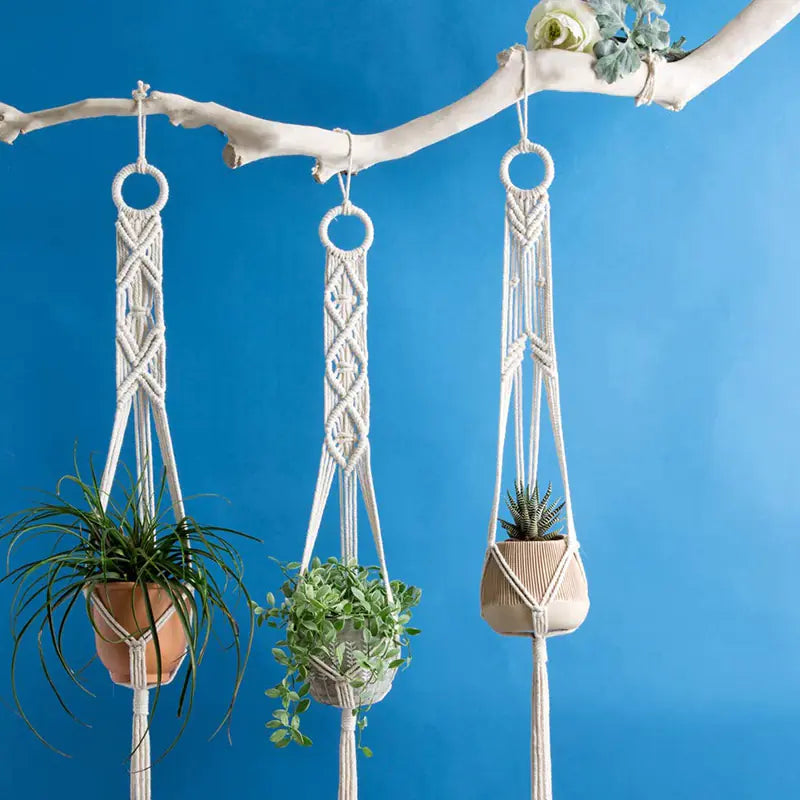 Handcrafted Cotton Rope Wall Hanging Plant Basket