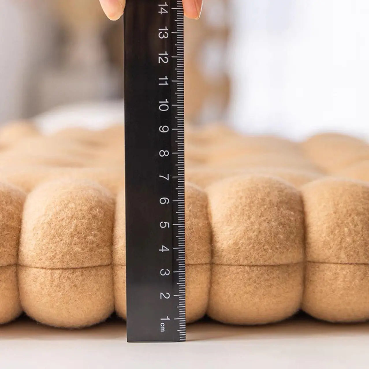 Classic Solid Biscuit Cushion