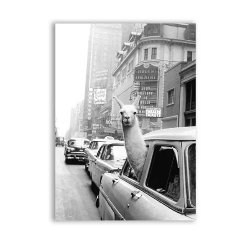 Funny Canvas Painting of Alpaca in NYC Taxi (1pc)